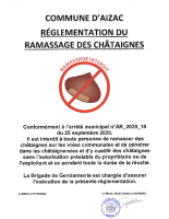 Réglementation du ramassage des châtaignes